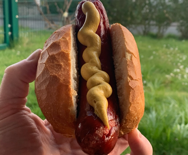 Hand hält ein Würstchen im Brötchen, garniert mit Senf. Hintergrund mit Gras.